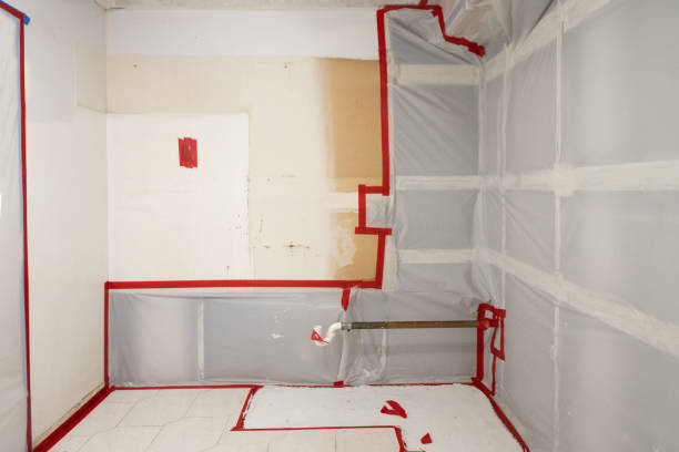 Best Mold Remediation for Healthcare Facilities  in Heyburn, ID