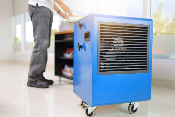 Best HVAC Mold Inspection and Cleaning  in Heyburn, ID